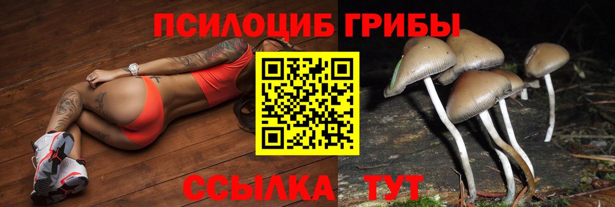 дарнет шоп  Псилоцибиновые грибы мицелий  Вход с VPN  Назрань 